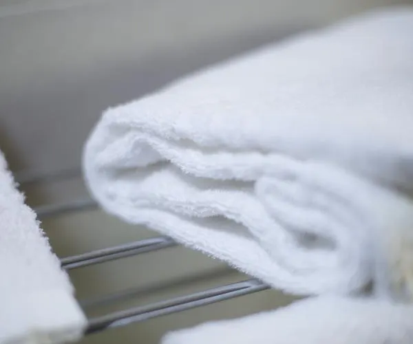 Alma Living Hotel- Al Girarrosto Szálloda Venzone